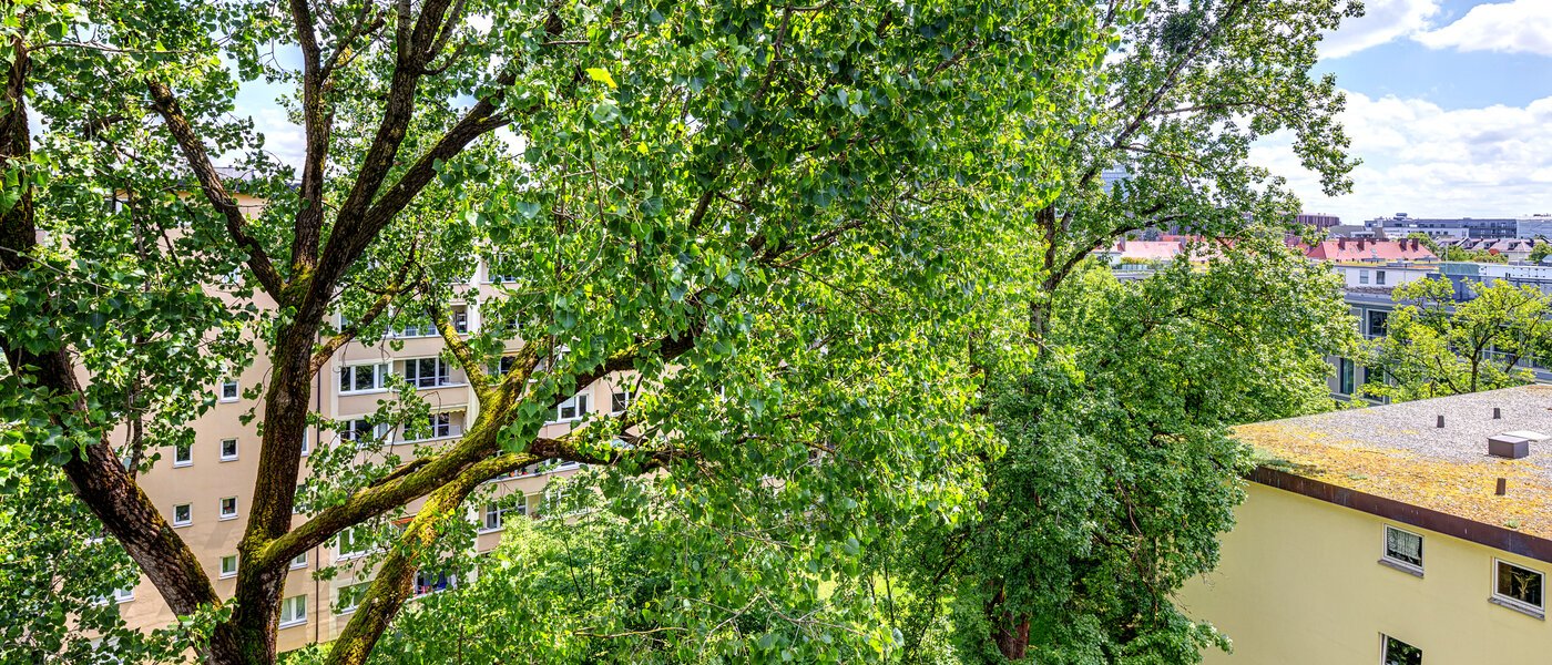 квартира München Bogenhausen 04 вид из окна 7308