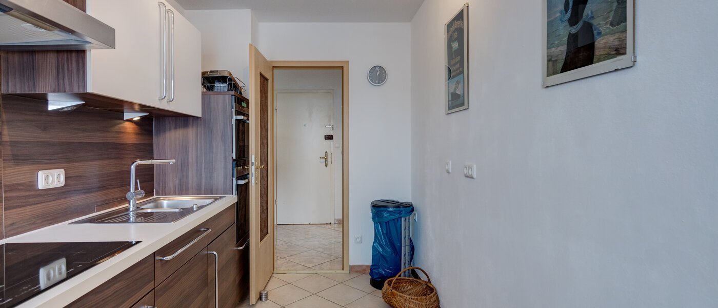 квартира München Laim 04 кухня 7348