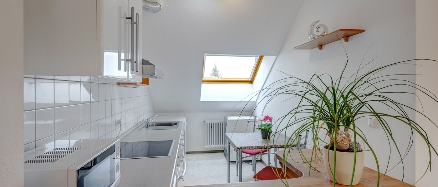 квартира München Laim 01 кухня 7354