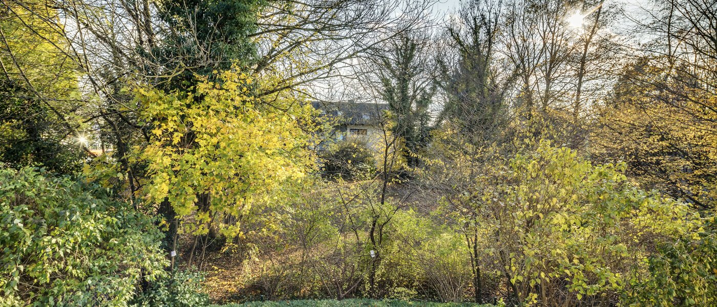 двухэтажная квартира München Fasanerie 01 вид из окна 7475