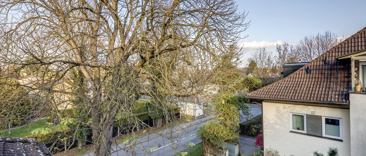 двухэтажная квартира München Fasanerie 05 вид из окна 7475