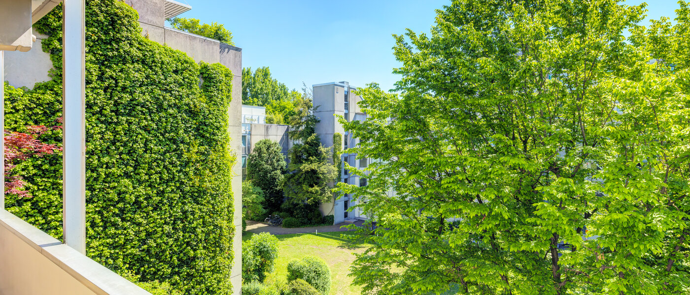 квартира München Schwabing-Nord (zw. Leopoldstraße & Englischen Garten) 01 вид из окна 7670