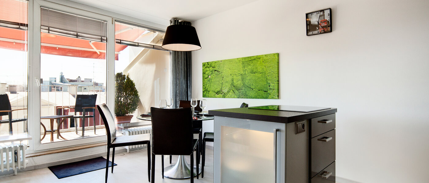 мансардная квартира München Schwabing-West (rund um den Hohenzollernplatz) 03 кухня 7704