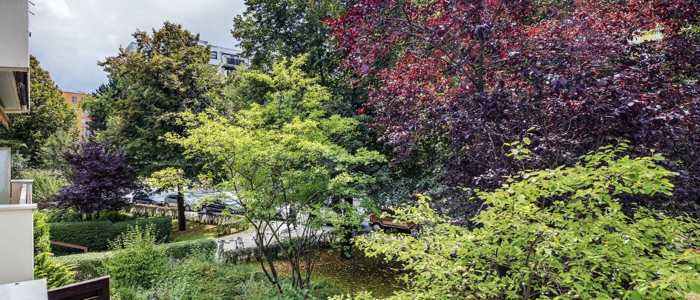 квартира München Haidhausen 01 вид из окна 7905