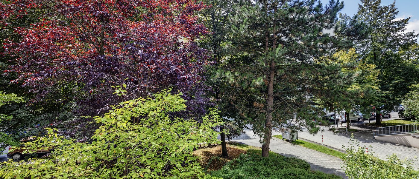 квартира München Haidhausen 02 вид из окна 7905