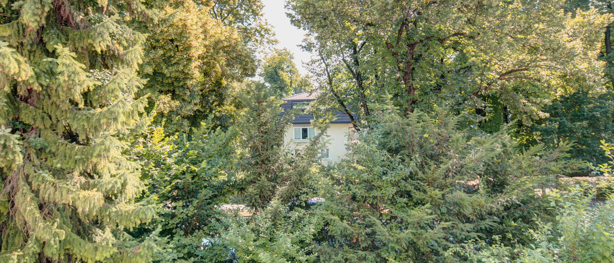 квартира München Nymphenburg 05 вид из окна 7938