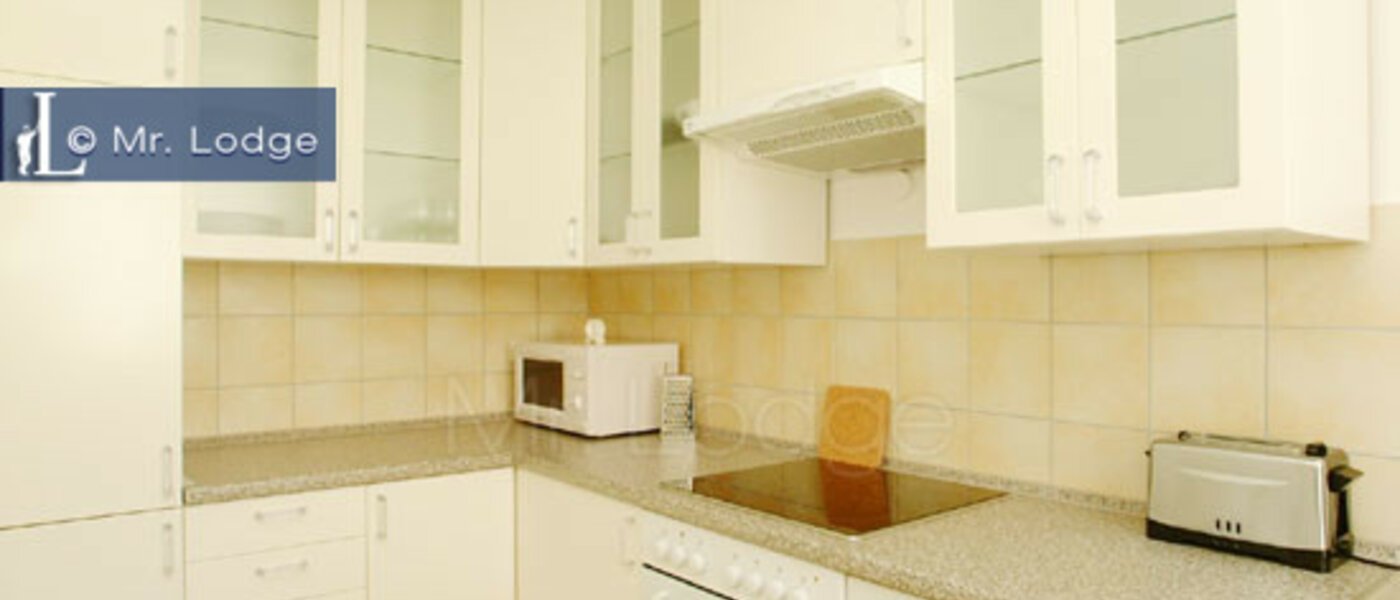 таунхаус Freising 02 кухня 8