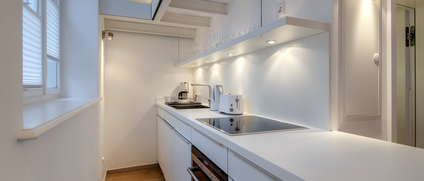 квартира-галерея München Maxvorstadt 01 кухня 8163