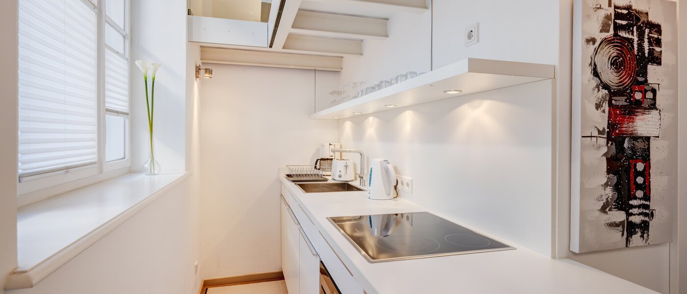квартира-галерея München Maxvorstadt 01 кухня 8163