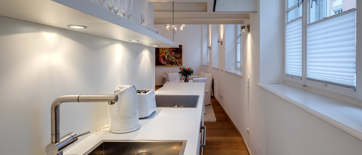 квартира-галерея München Maxvorstadt 03 кухня 8163