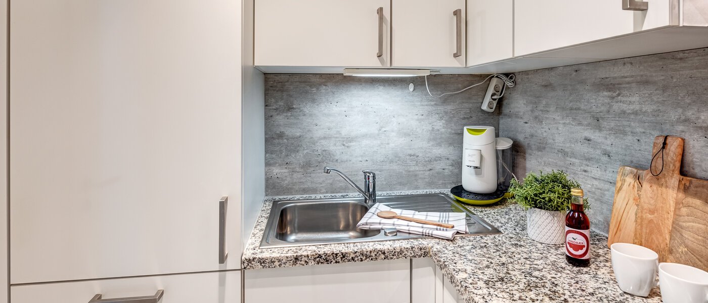 квартира с садом Haar 02 кухня 8167