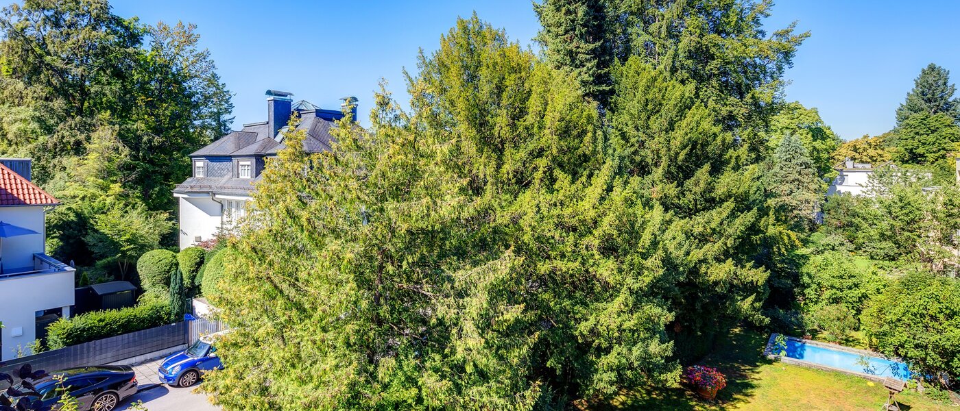 мансардная квартира München Menterschwaige 01 вид из окна 8181