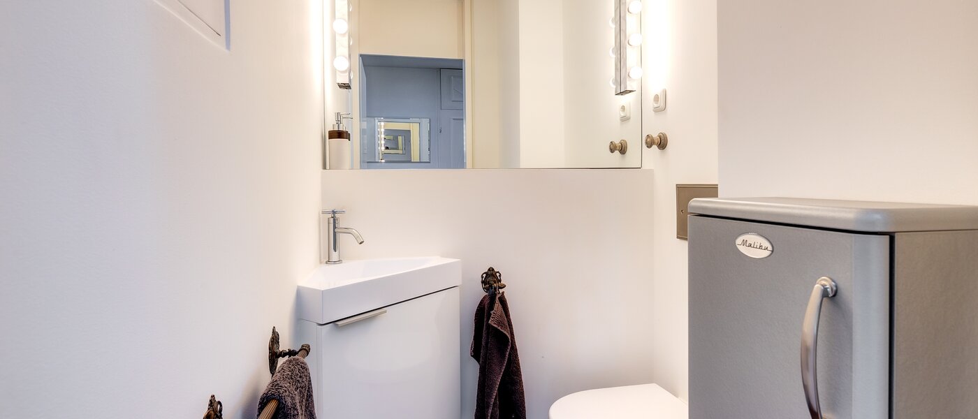 мансардная квартира München Menterschwaige 01 гостевой туалет 8181