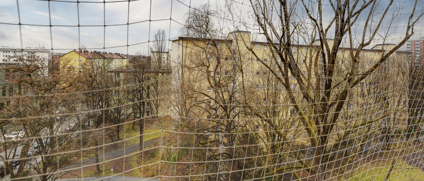 квартира München Bogenhausen 02 вид из окна 8368