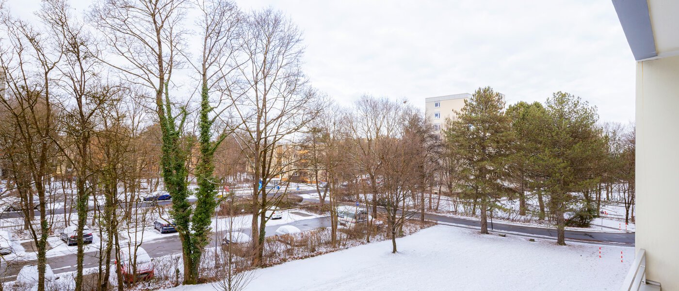 квартира München Englschalking 02 вид из окна 8399