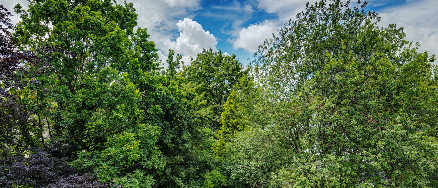 квартира München Ramersdorf 02 вид из окна 8588