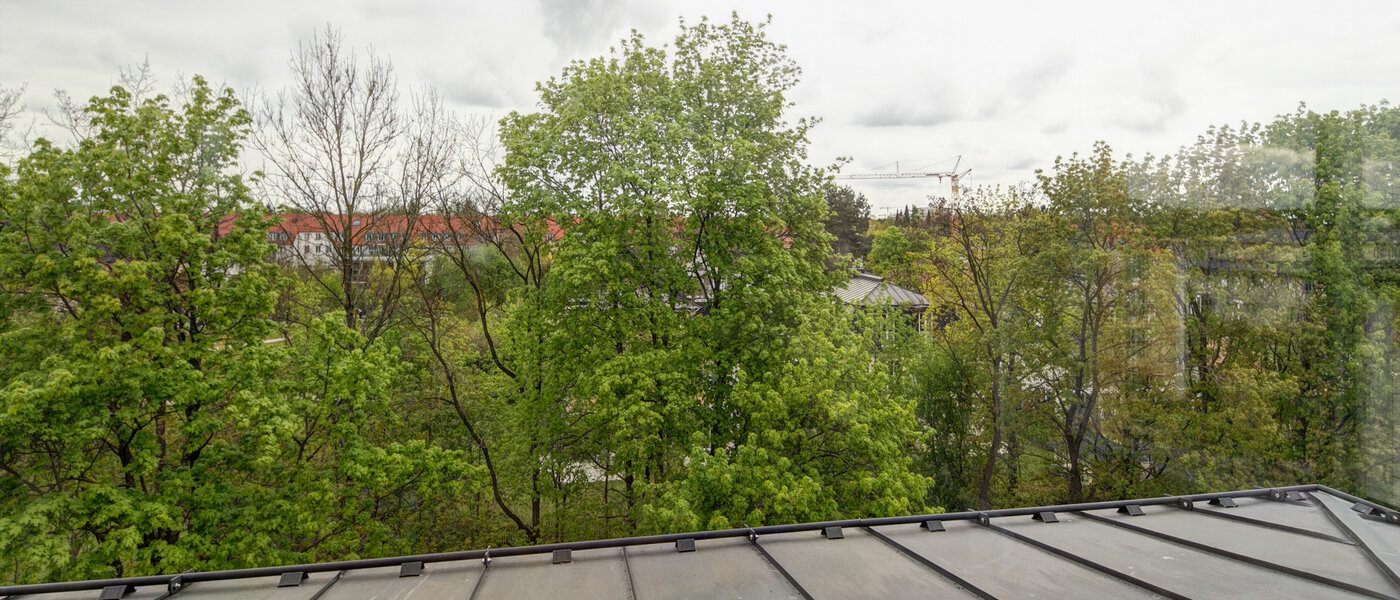 квартира-галерея München Moosach 03 вид из окна 8607