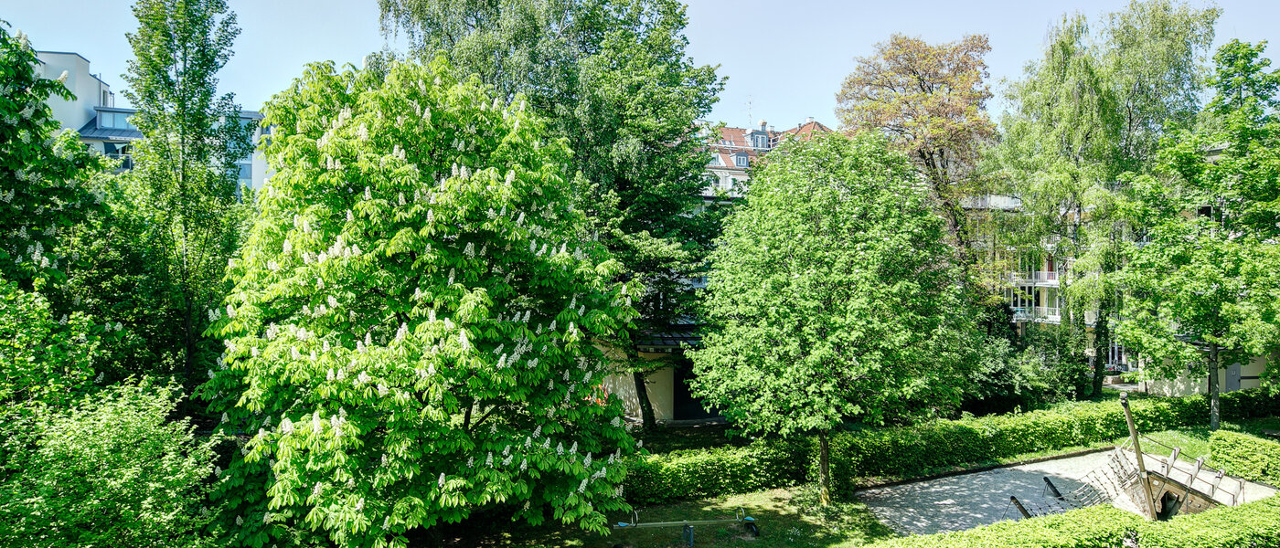 квартира München Maxvorstadt - Universitätsviertel 02 вид из окна 8629