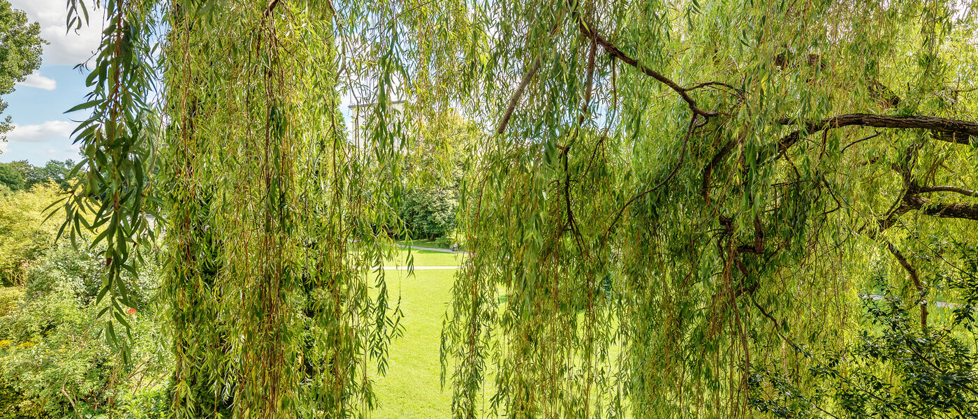 квартира München Parkstadt Bogenhausen 02 вид из окна 8635