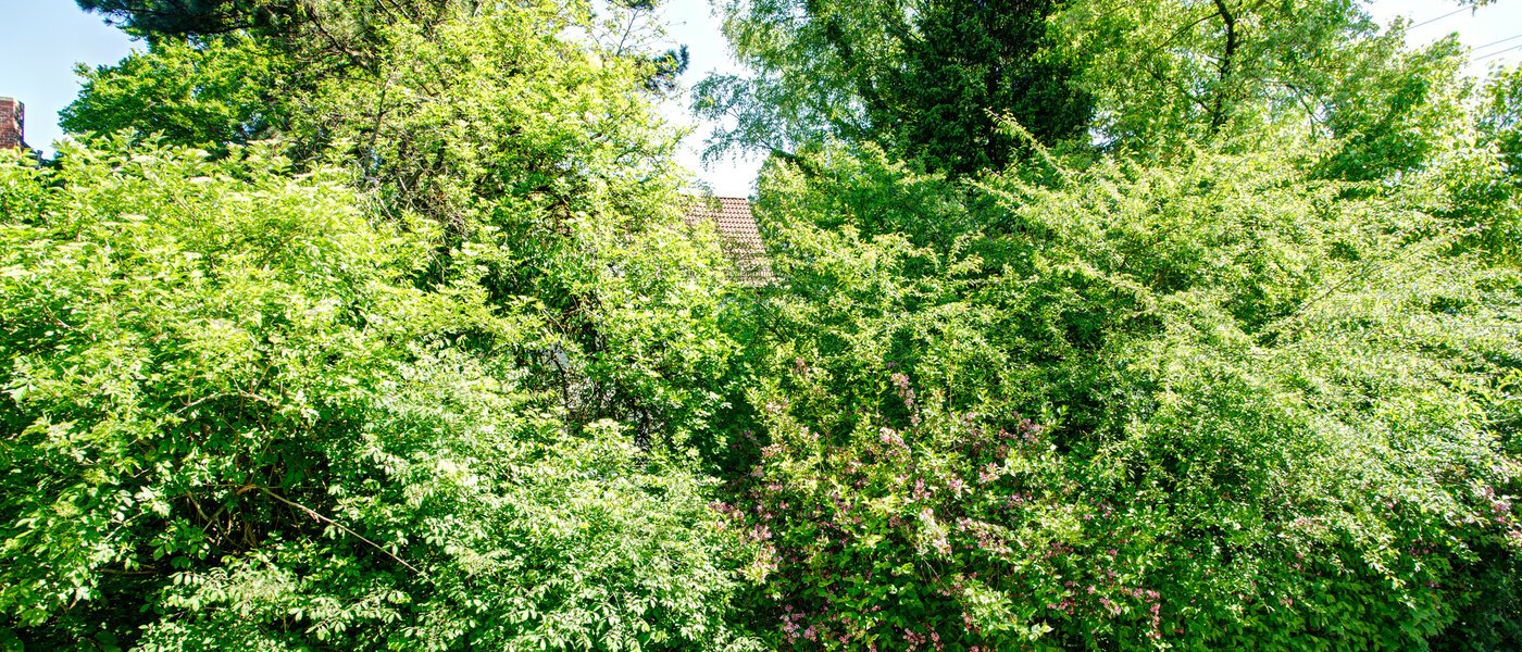 квартира München Freimann 04 вид из окна 8673