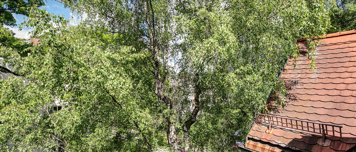 мансардная квартира München Solln 03 вид из окна 8785