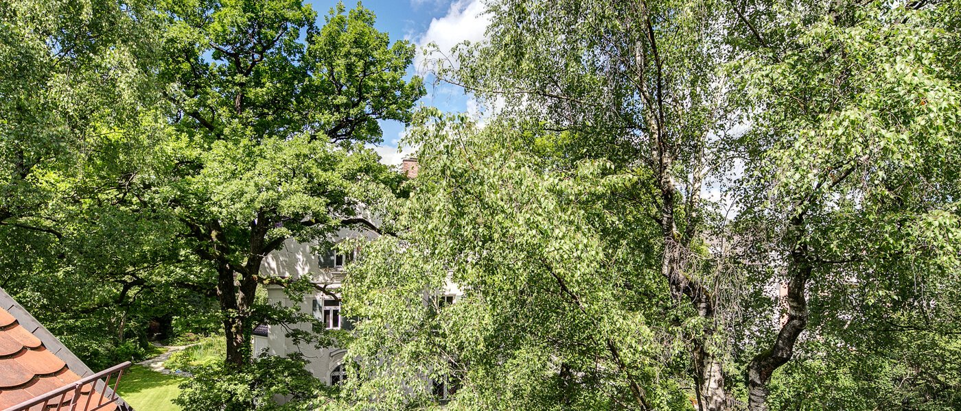 мансардная квартира München Solln 06 вид из окна 8785