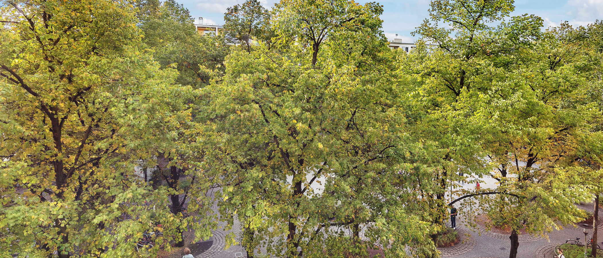 квартира München Schwabing-West (rund um den Hohenzollernplatz) 01 вид из окна 8850