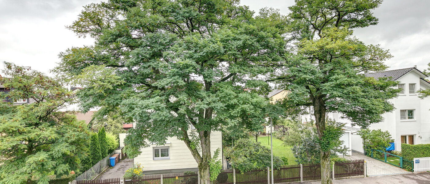 дом München Freimann 02 вид из окна 8852