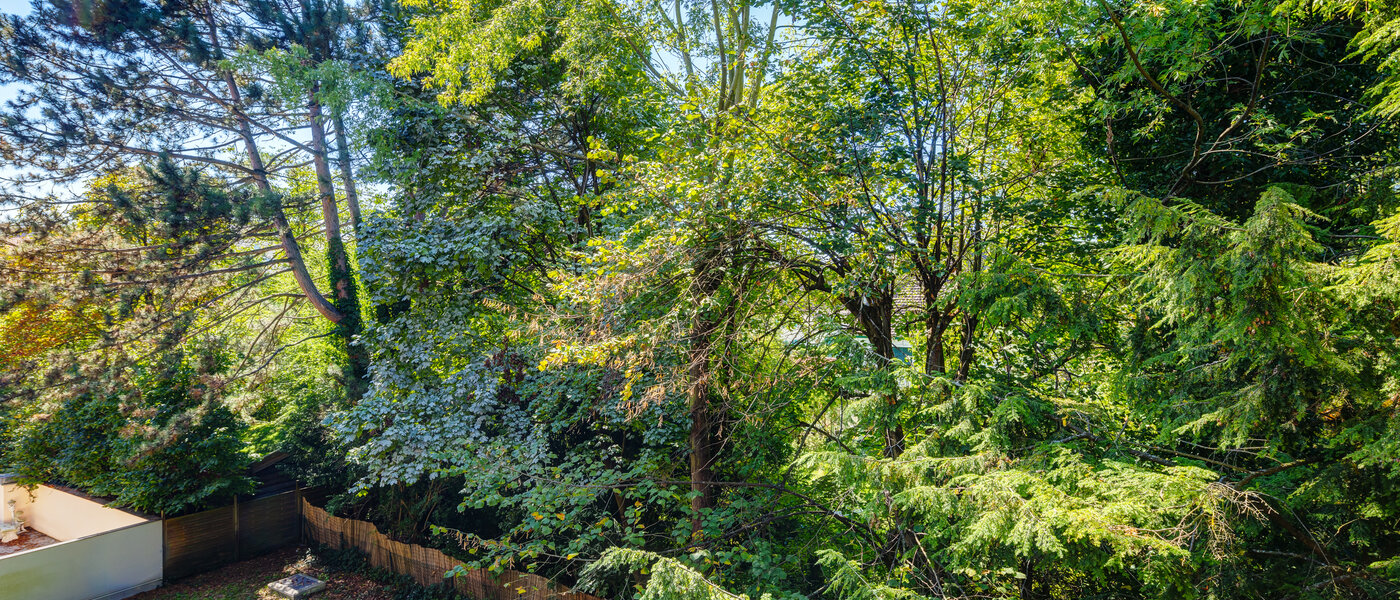 квартира München Sendling-Westpark 01 вид из окна 8875