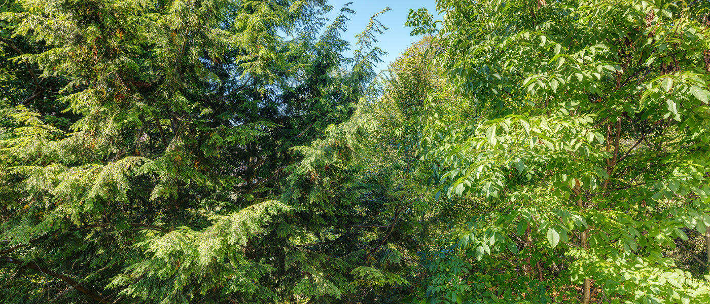 квартира München Sendling-Westpark 02 вид из окна 8875