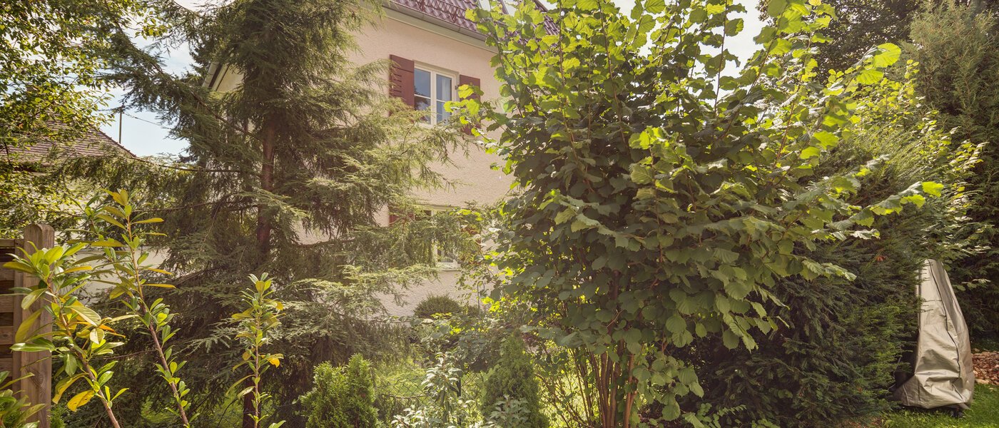 квартира Gräfelfing 01 вид из окна 8902