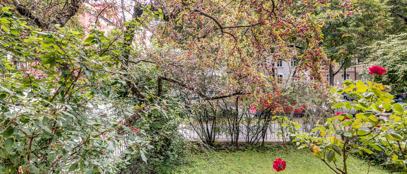 квартира München Schwabing-West 01 вид из окна 8918