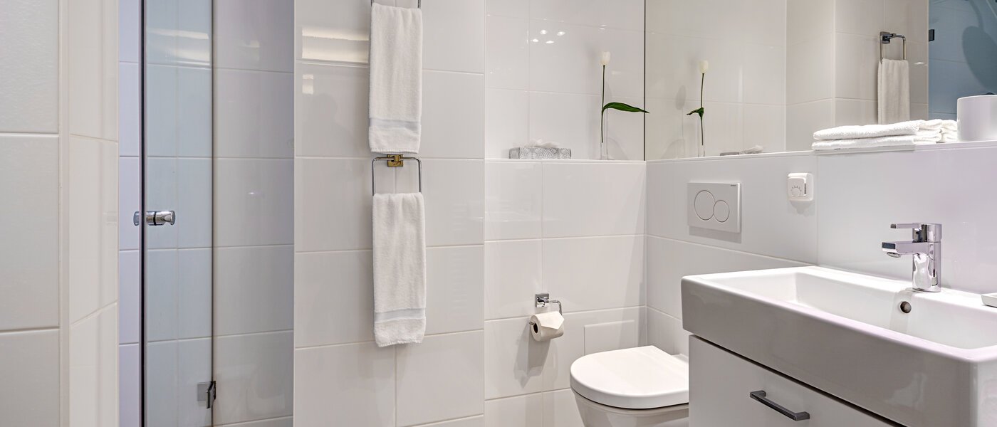 мансардная квартира München Altstadt 01 ванная комната 9009