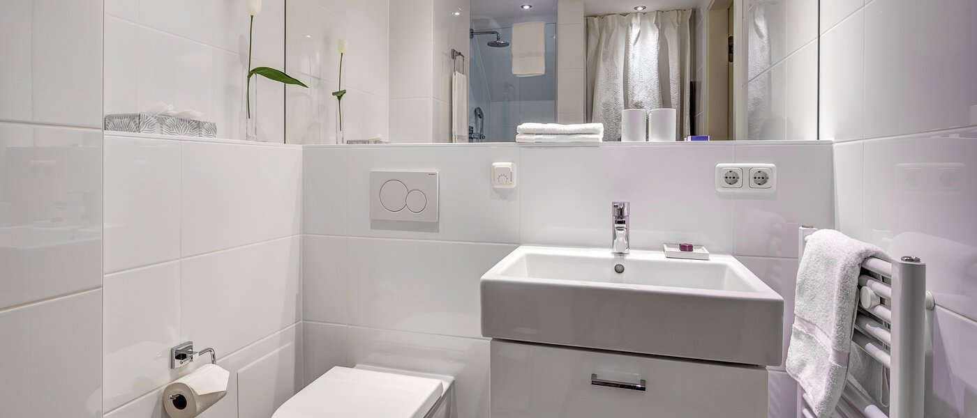 мансардная квартира München Altstadt 02 ванная комната 9009