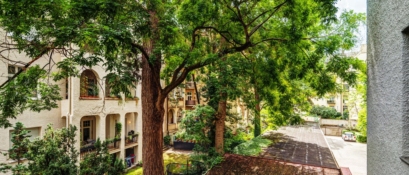 квартира München Schwabing-West (rund um den Hohenzollernplatz) 02 вид из окна 9021