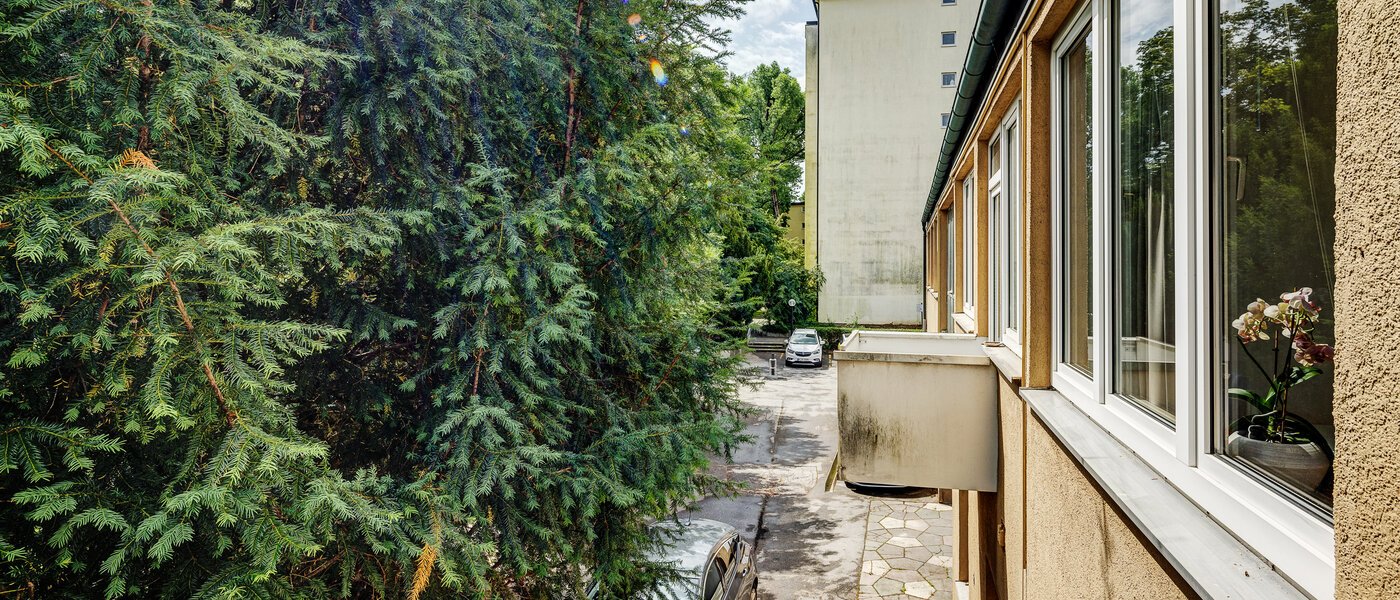 квартира München Parkstadt Bogenhausen 03 вид из окна 9045