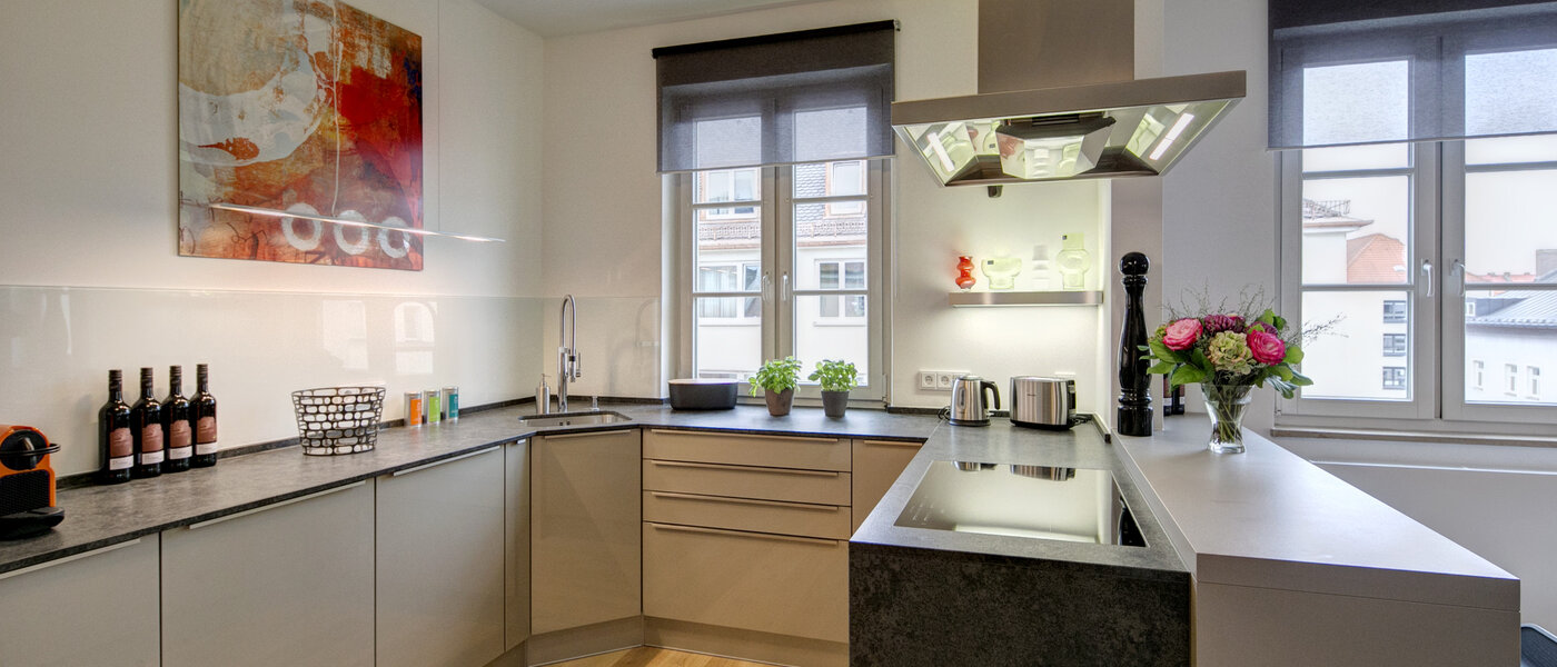 квартира München Maxvorstadt - Universitätsviertel 01 кухня 9074