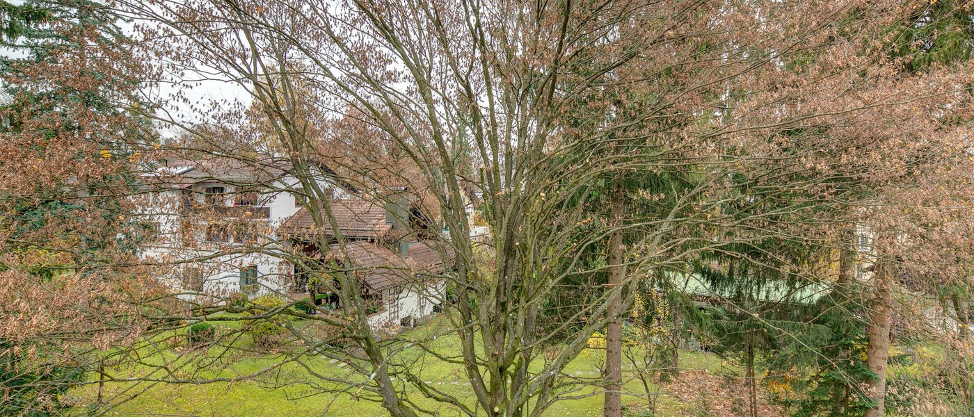 мансардная квартира Gräfelfing 01 вид из окна 9079