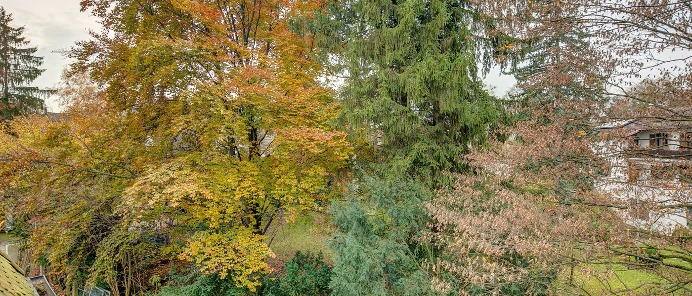 мансардная квартира Gräfelfing 02 вид из окна 9079