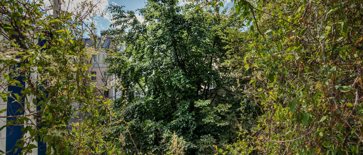 квартира München Schwabing 02 вид из окна 9272