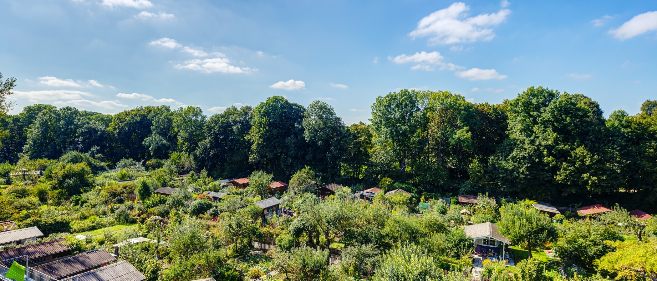 квартира München Thalkirchen 02 вид из окна 9295