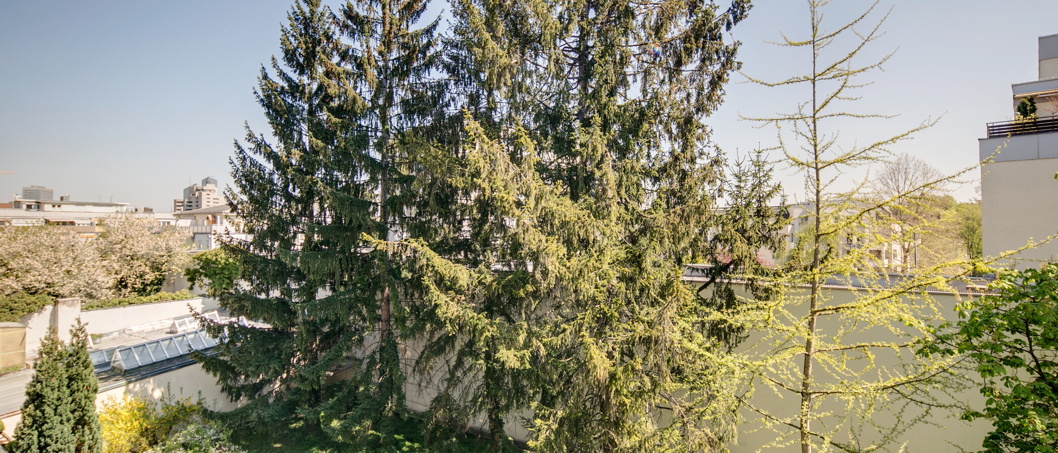 квартира München Schwabing (rechts der Leopoldstraße) 01 вид из окна 9457