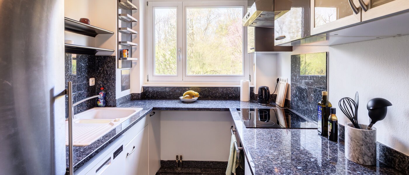 квартира München Oberföhring 01 кухня 9553