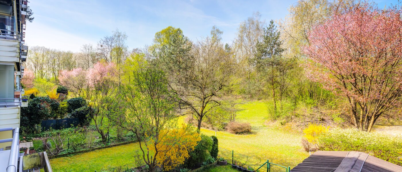 квартира München Oberföhring 01 вид из окна 9553