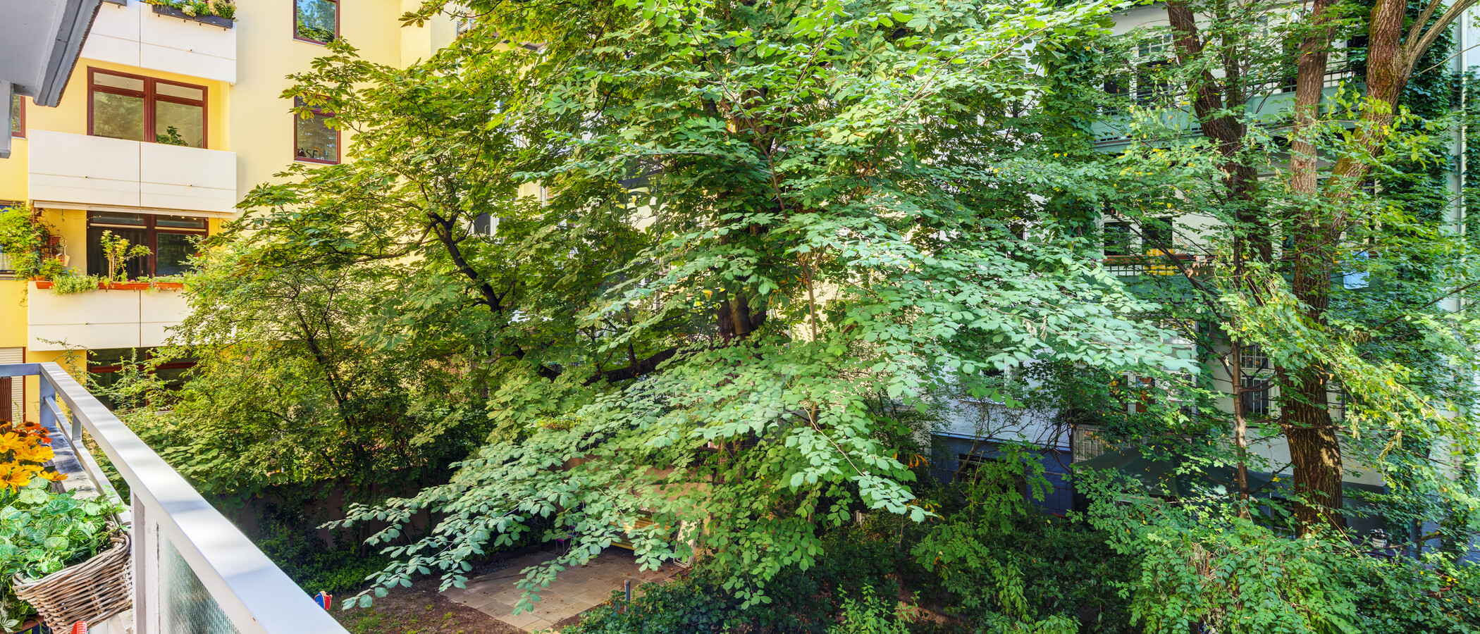 квартира München Lehel 01 вид из окна 9663