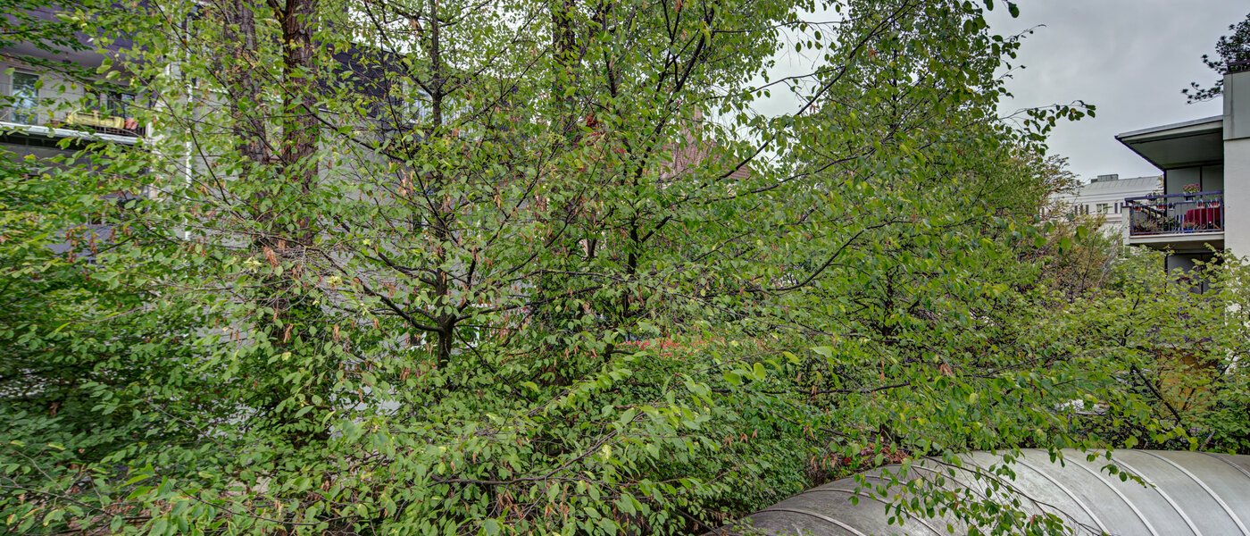 квартира München Haidhausen 02 вид из окна 9683