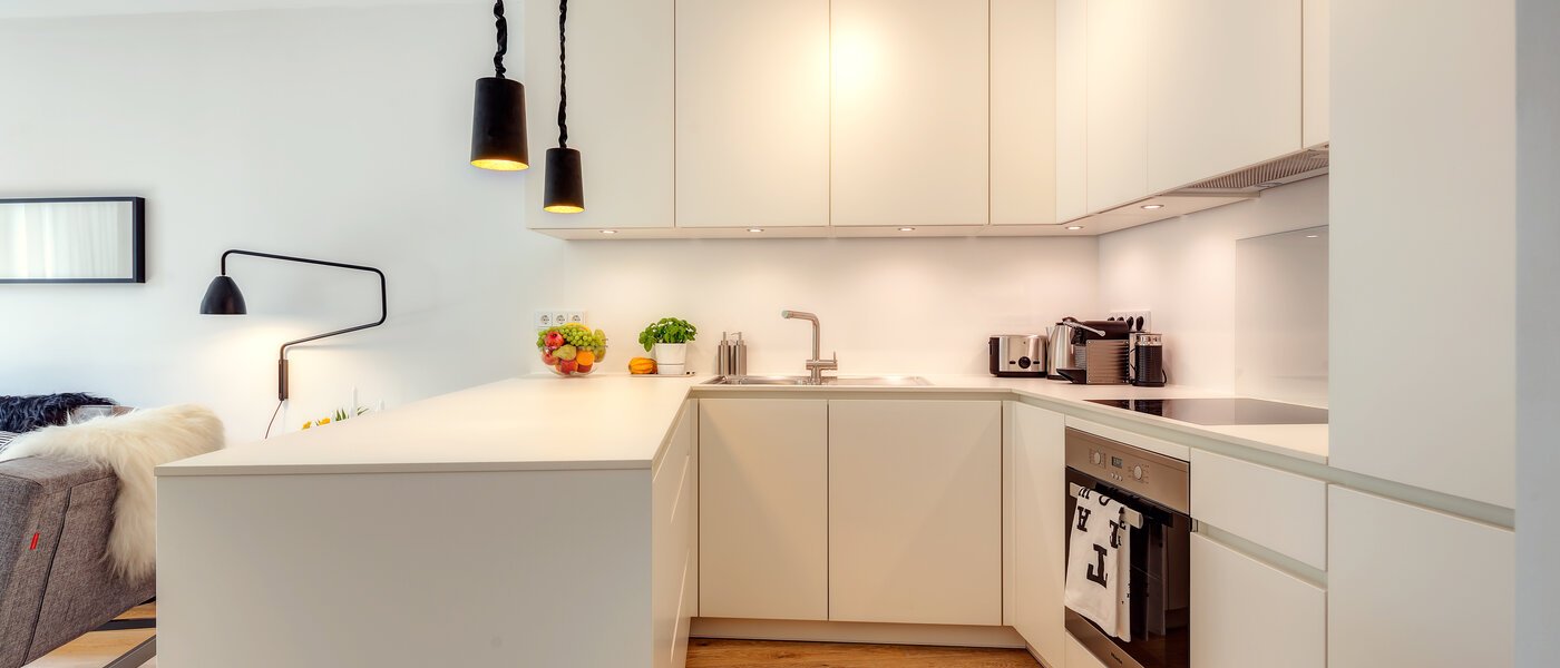 квартира München Isarvorstadt 02 кухня 9687