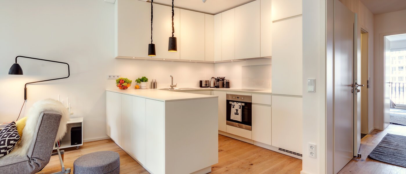 квартира München Isarvorstadt 03 кухня 9687