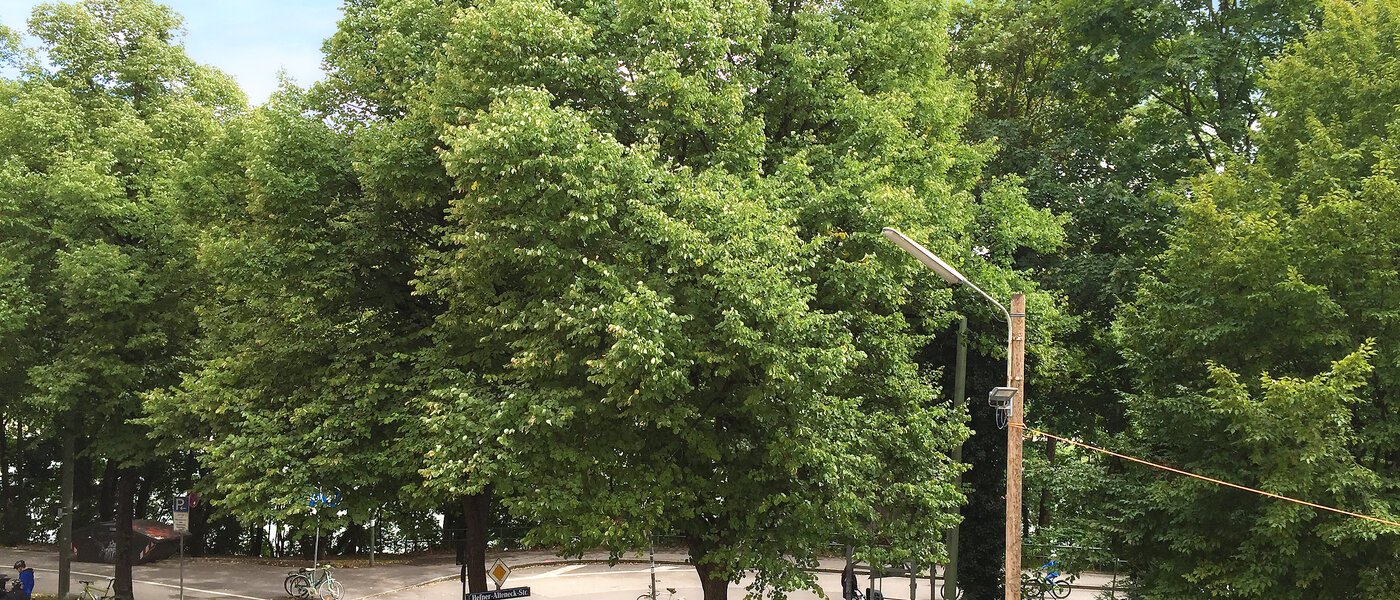 квартира München Isarvorstadt 03 вид из окна 9687