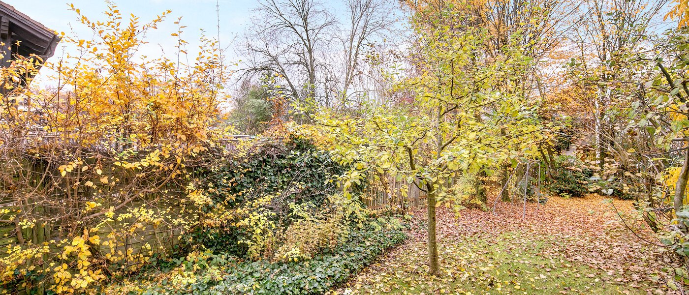 квартира Gauting 01 вид из окна 9747